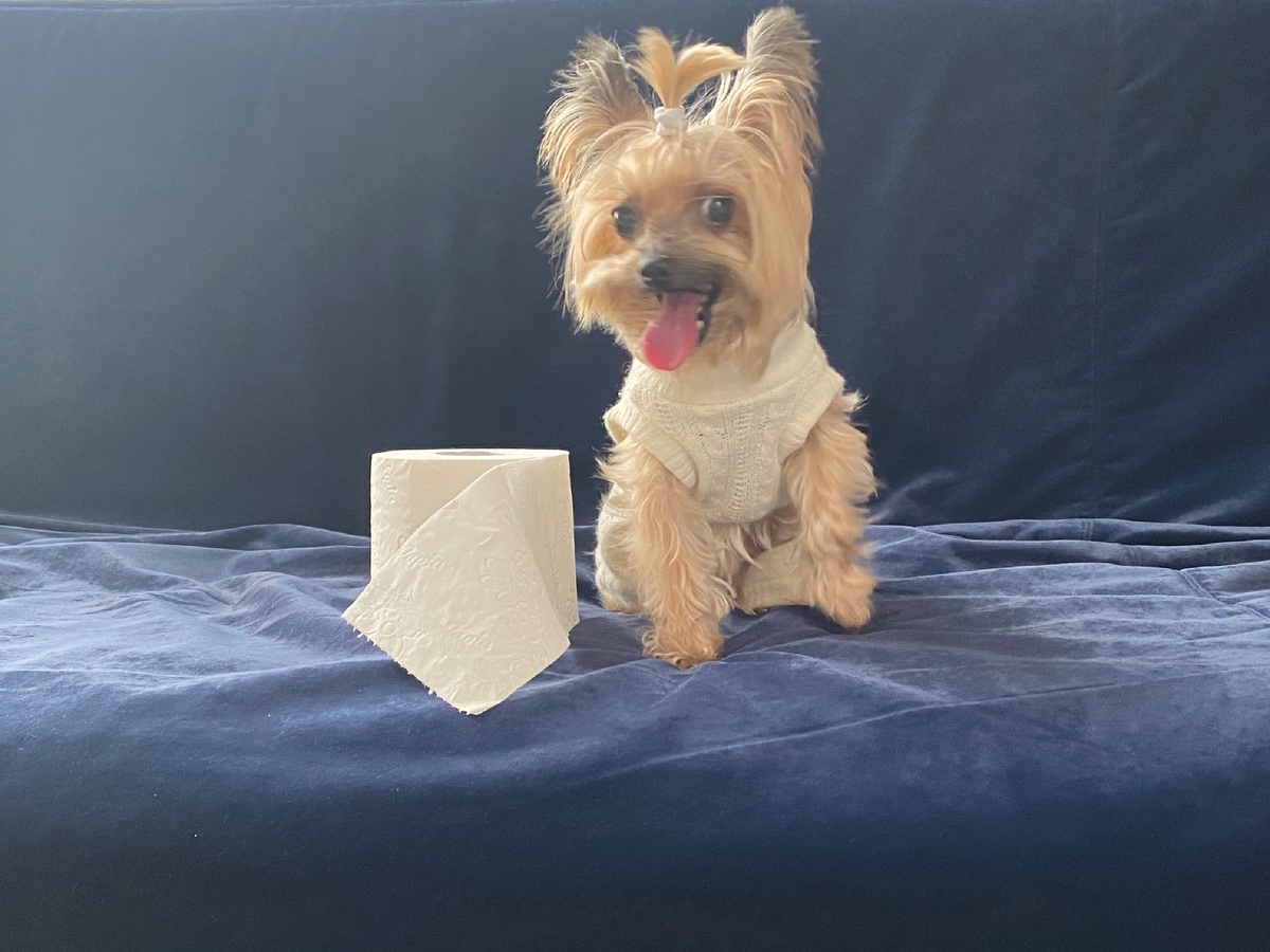 Поменьше ничего не нашлось?