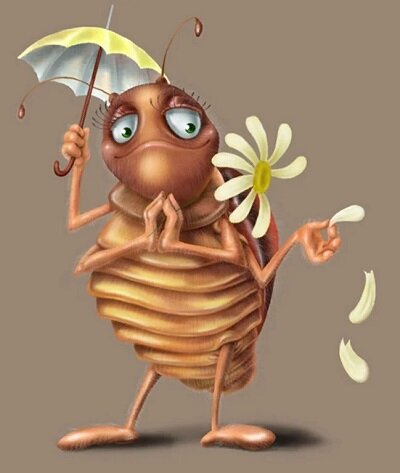 Картинка из просторов Интернет