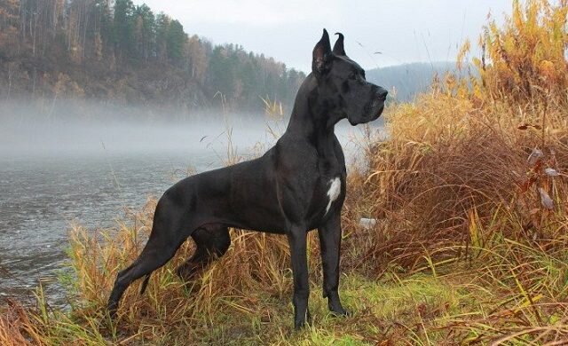 Фото из открытых источников