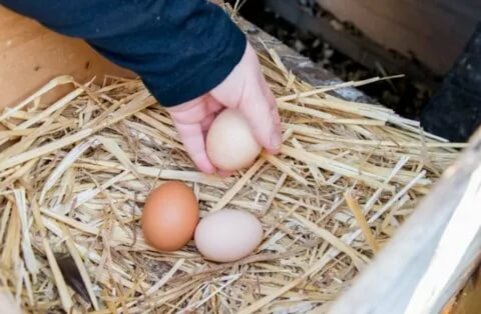 Колдуны, знахари и ворожеи: как в деревнях лечили нервные болезни