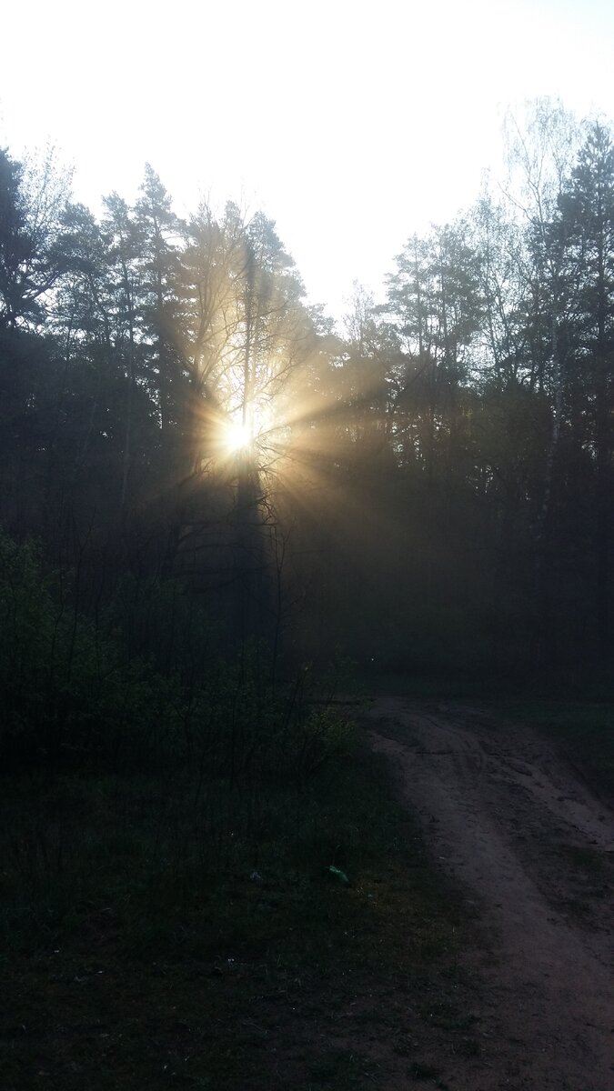 утренний рассвет