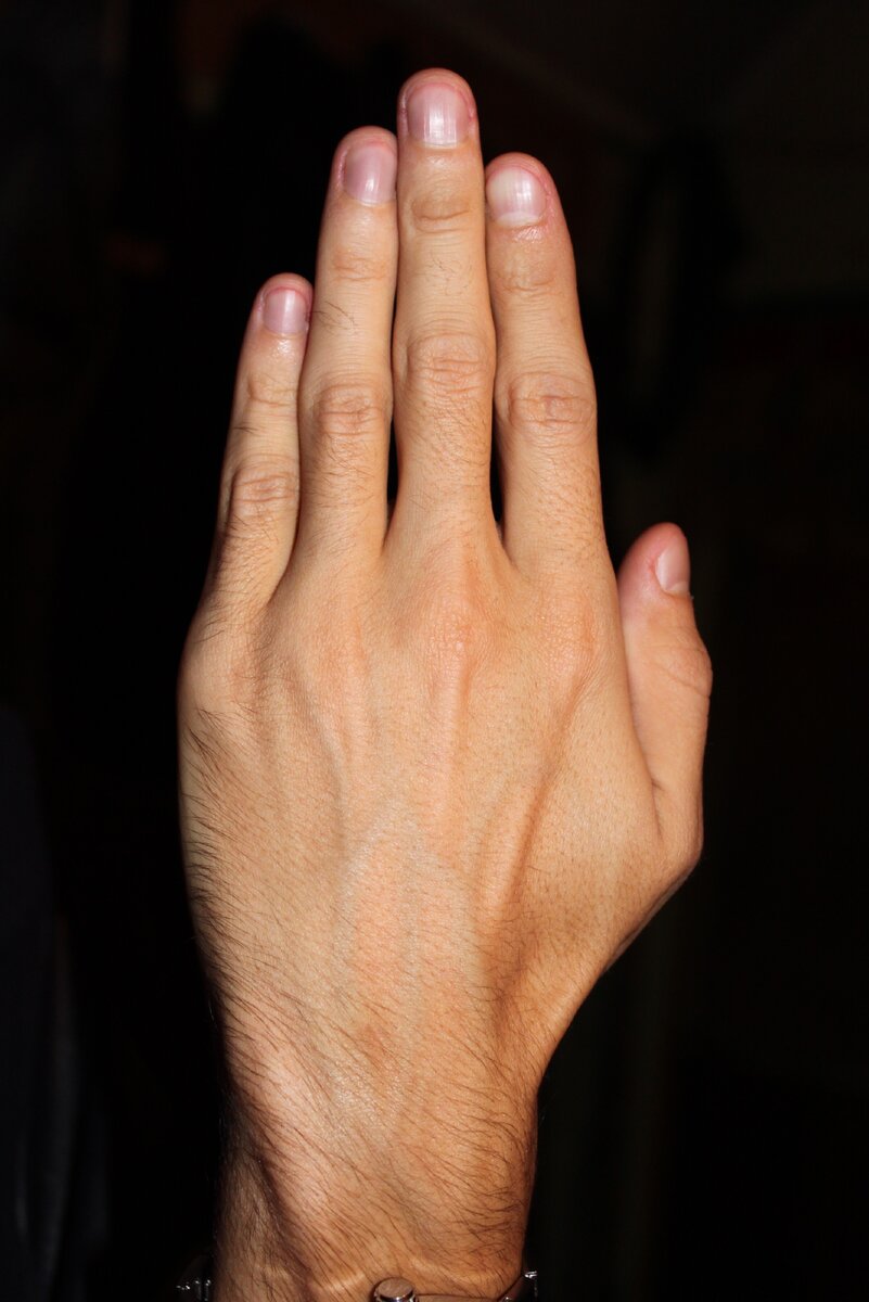 Особенности рук. Мужская рука. | Тайны жизни | Дзен