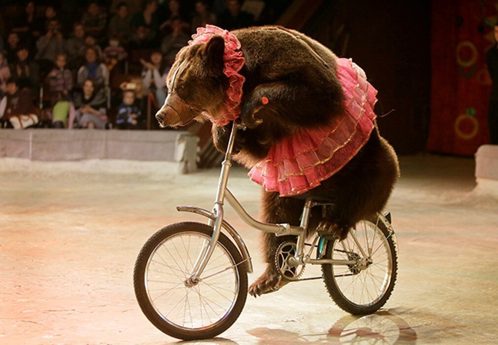 еду в соседнее село на дискотеку