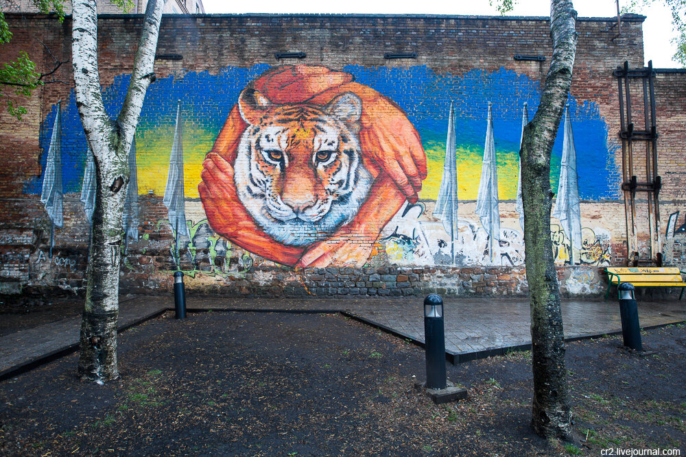 Стрит-арт Владивостока 