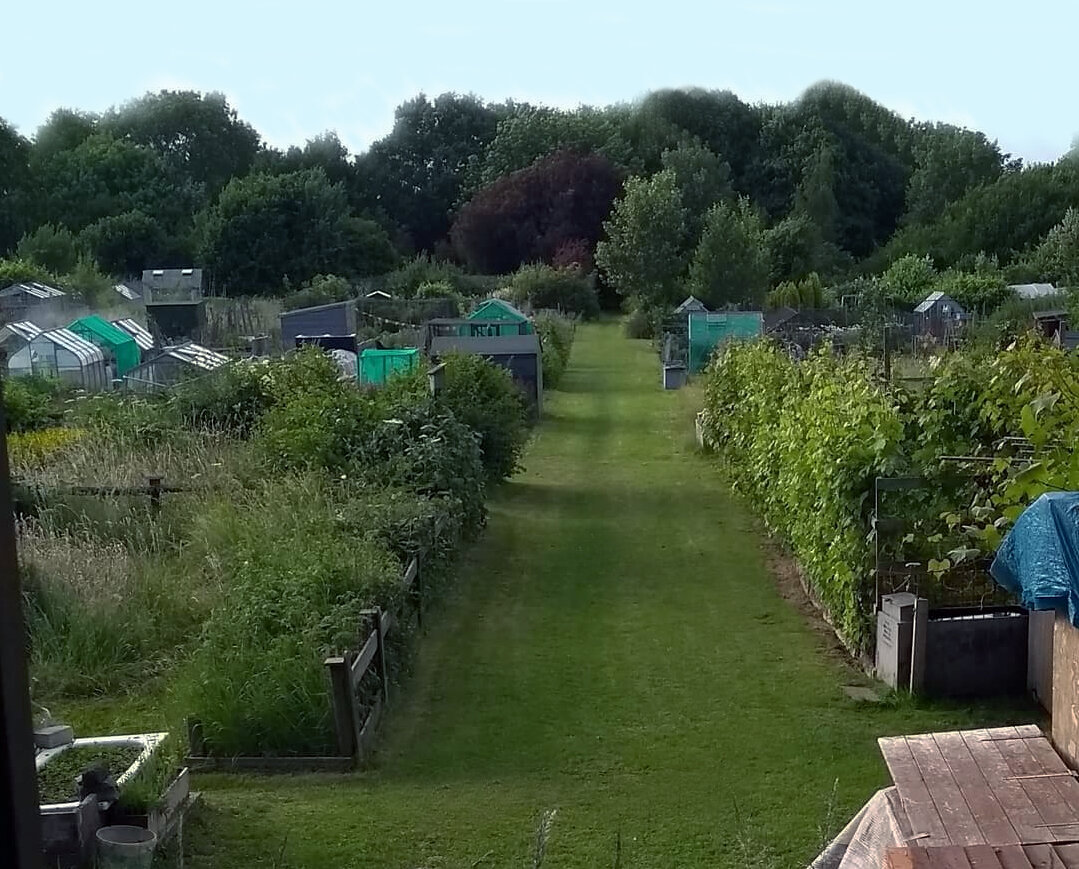 Дачи и огороды в разных странах: Великобритания, Швеция и т.д. | Home and  garden | Дзен