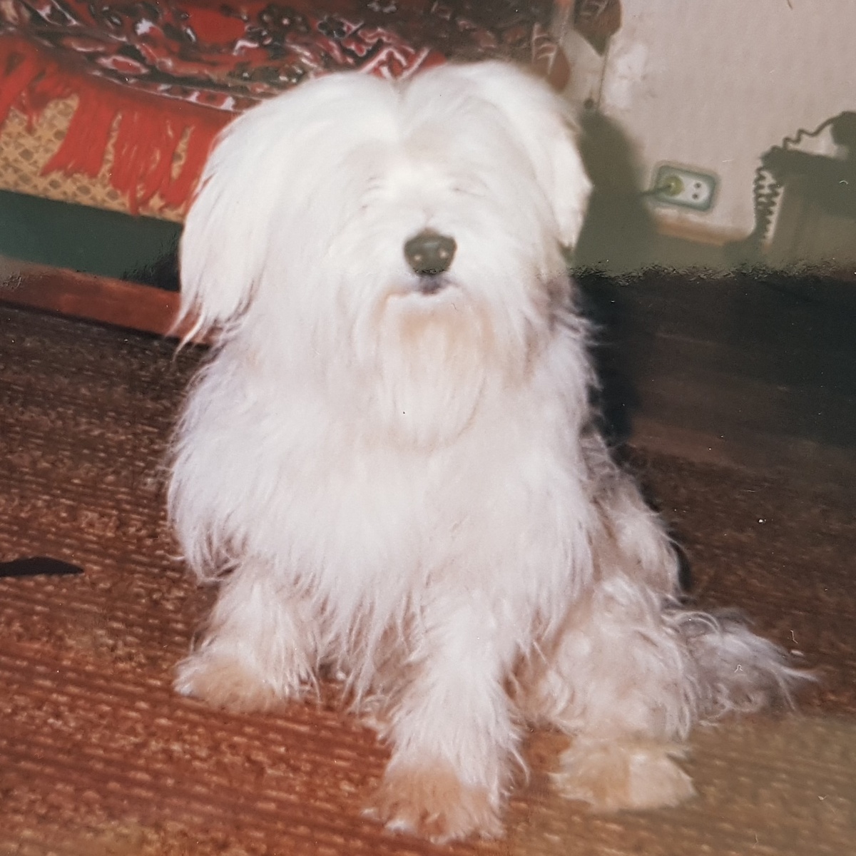 Фото автора.