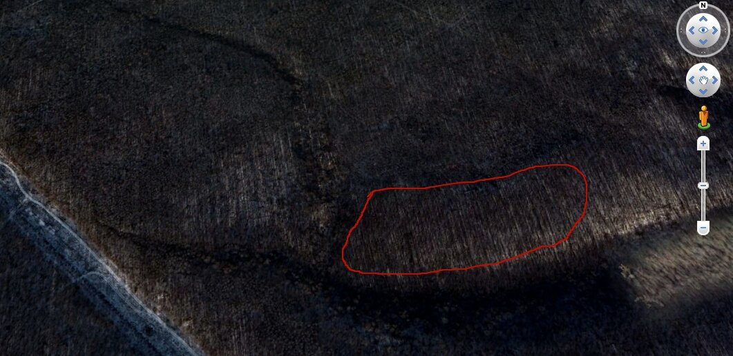 Южный склон возле большого оврага - неплохое место для средневекового поселения.