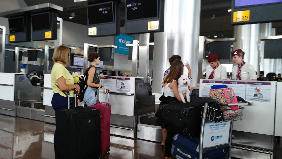 Проверка в Аэропорту. Иногда внутренние требования авиакомпаний к документам более строгие, чем у пограничников. Конкретно этот паспортный контроль "Катарцев" стоил мне лишних 700 долларов на бронирование дополнительных билетов.