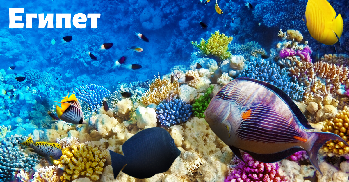 Красное море в Египте