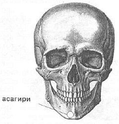 Рис. Расположение точки асагири. 