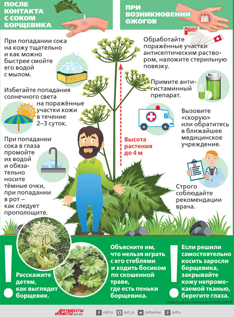 Источник: Яндекс картинки