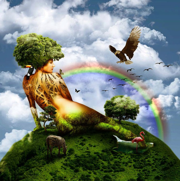 Картинка из интернет