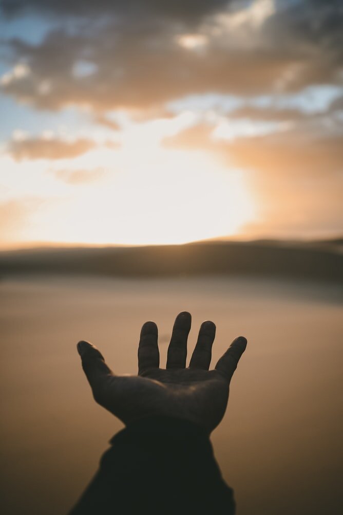 Источник изображения  https://unsplash.com/