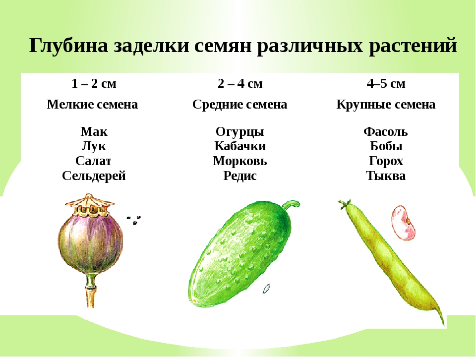 Источник: https://ds03.infourok.ru/uploads/ex/0cb3/000158ba-2953bc51/img14.jpg