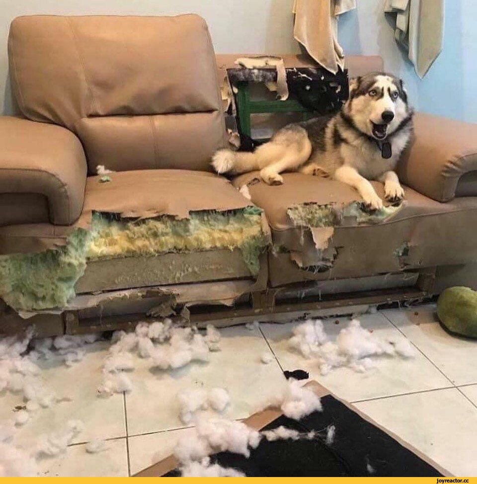 Фото: https://goo.su/1Uvs