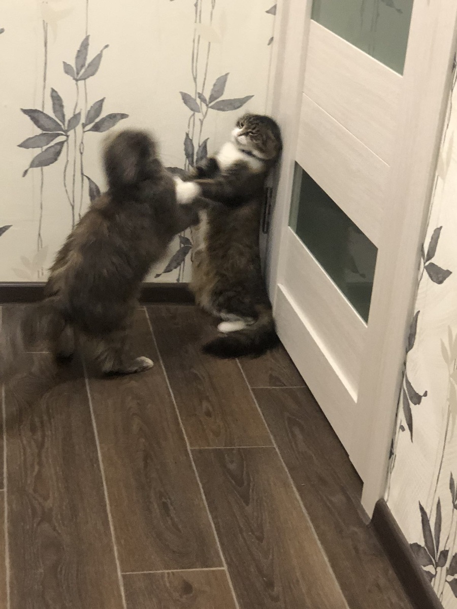 Иногда спорят ))) 