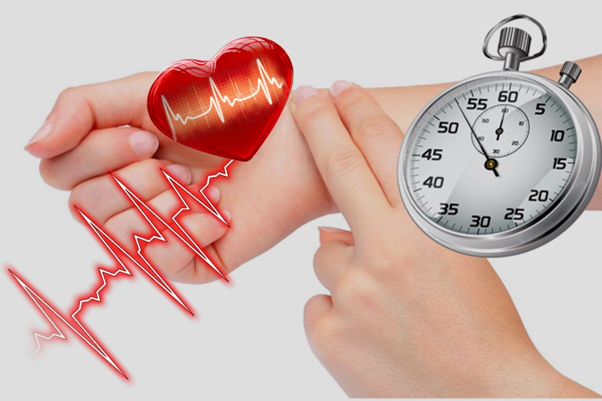 Как измерить пульс в домашних условиях