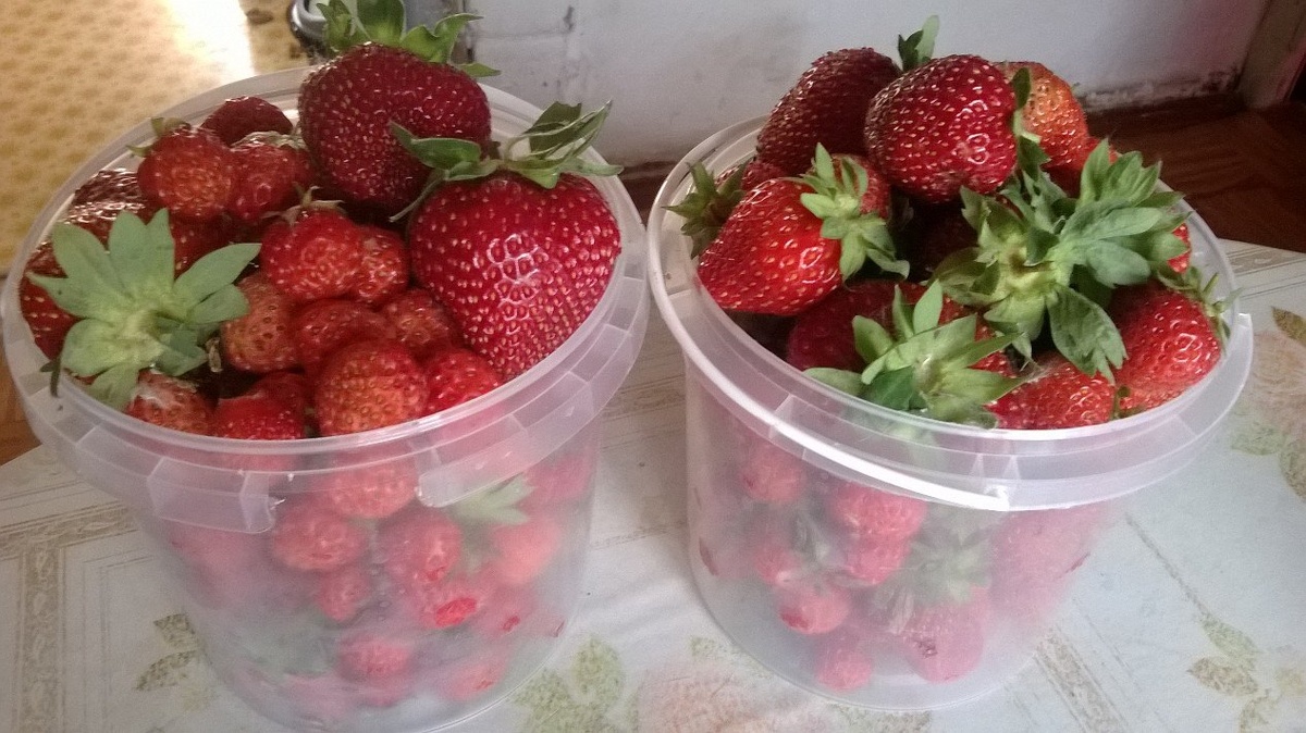 Конец июля 2019 г (Приволжский округ)