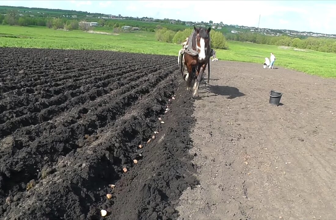 Фото сделано в 2019 г