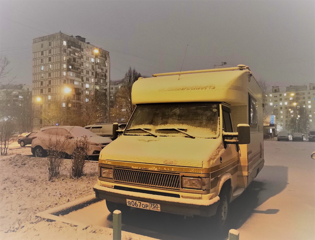 Дружок ждёт приключений
