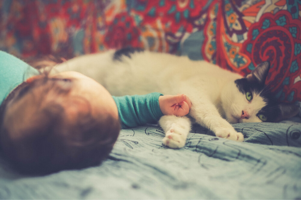 Дети и кошки. Фото: Unsplash