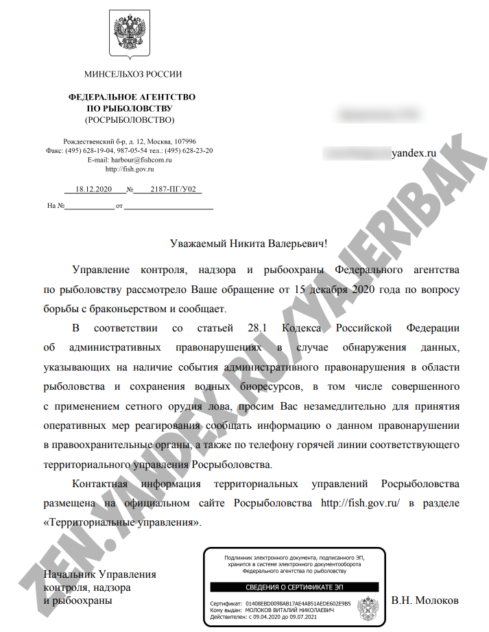 Официальный ответ от В.Н. Молокова.