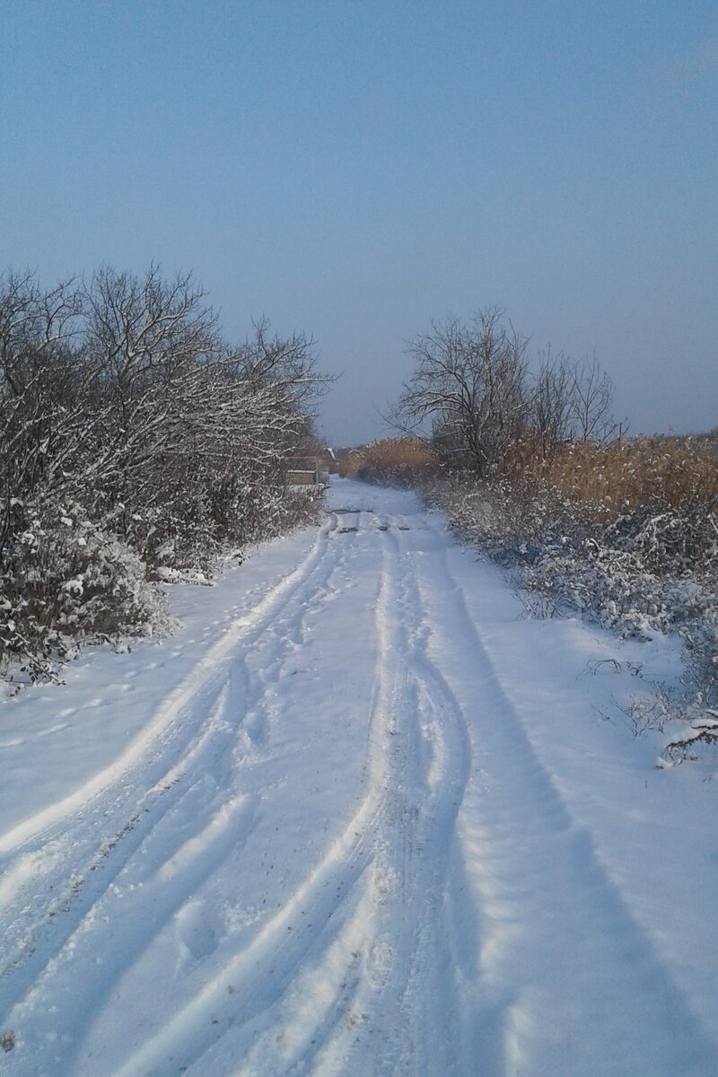 дорога вдоль канала