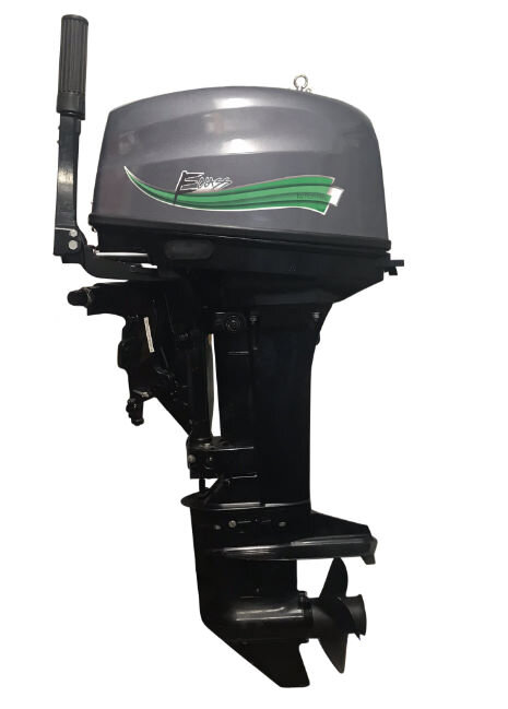 Так выглядит электромотор от компании E class. Источник: https://eclassoutboards.com.au/