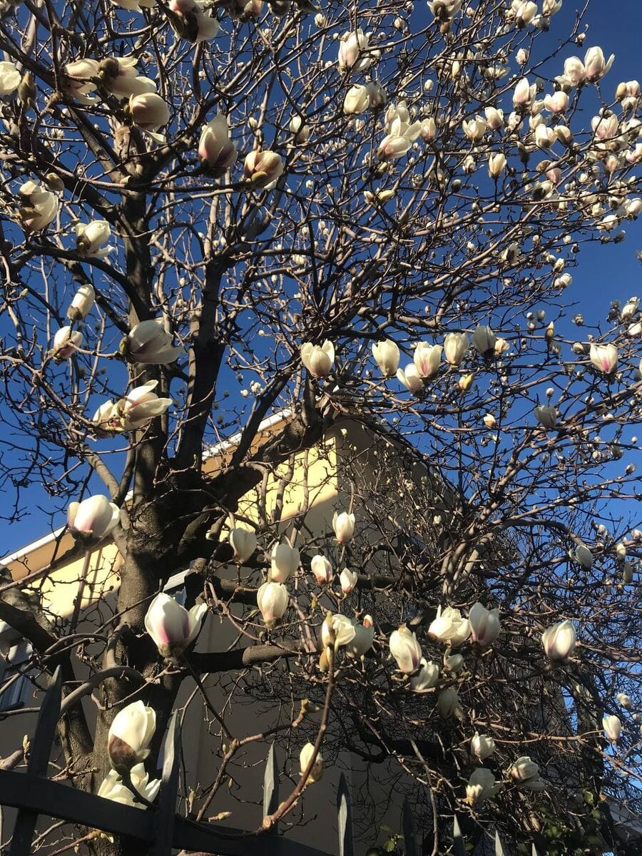Фотография из личного архива.