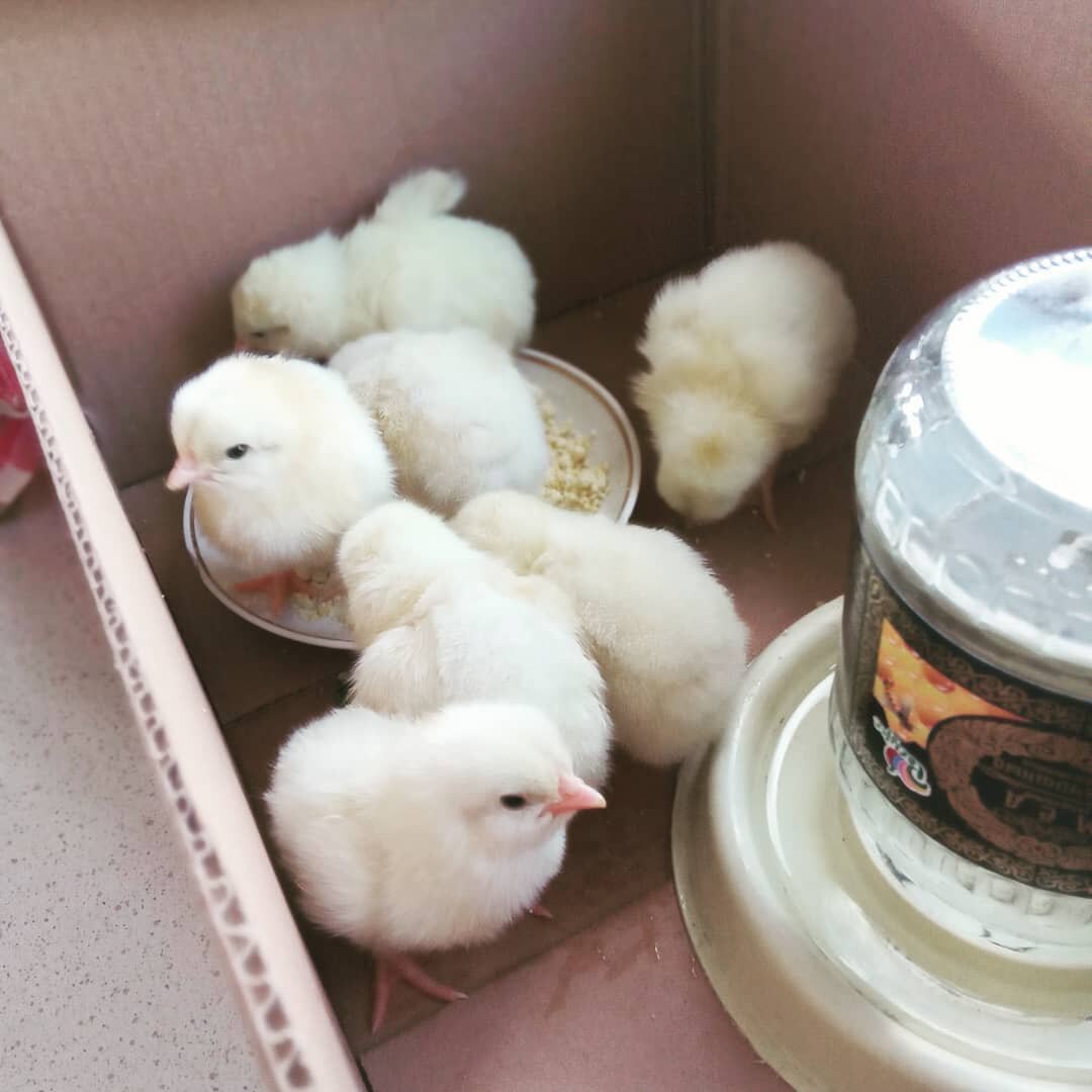 Фото автора.