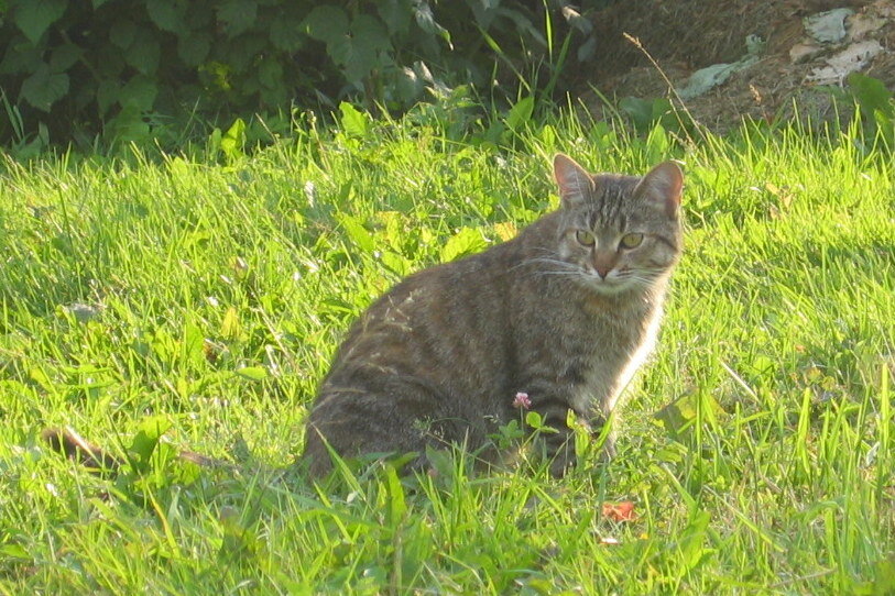Лукерья. Фото автора