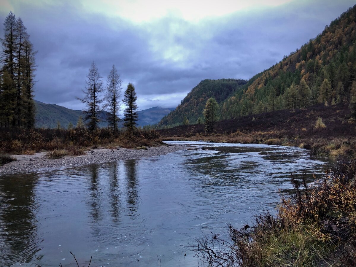 Верхняя гутара фото