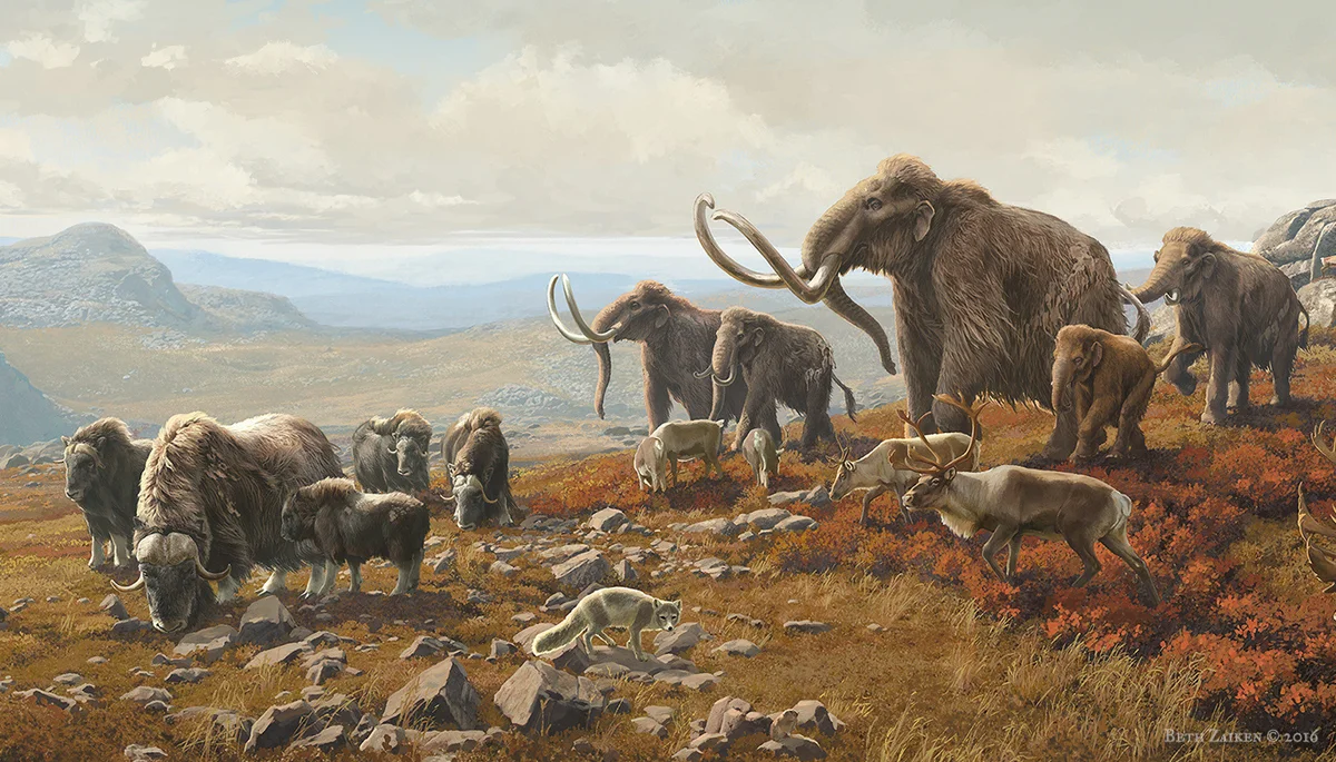 История фауна. Животные эпохи плейстоцена. Ледниковый период Кайнозой. Доисторический овцебык. Мамонт палеоарт.