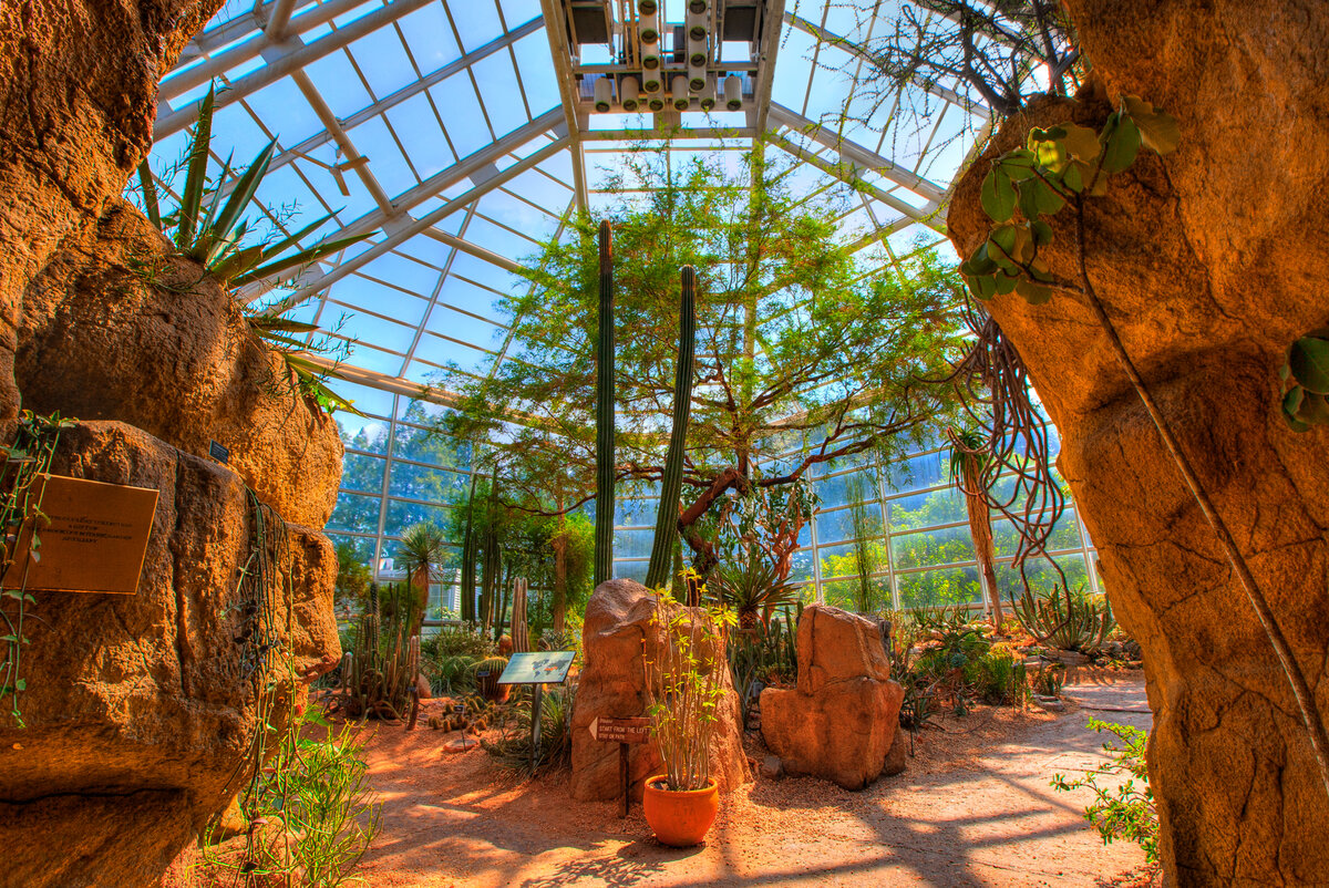 Бруклинский Ботанический сад США