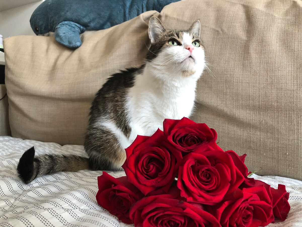 Даша. Фотография из личного архива