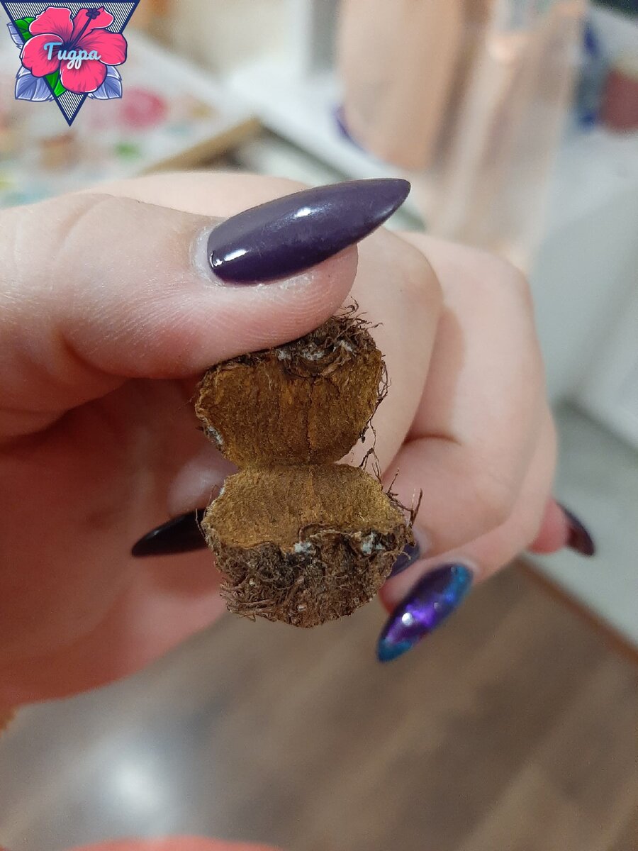 Личное фото. А вот замена пришла