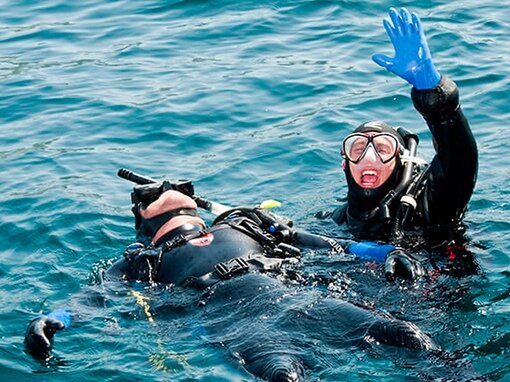 Фото с сайта: scubajet.com