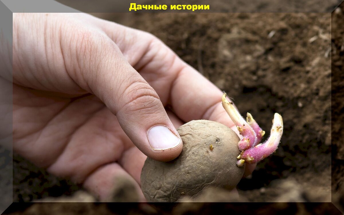https://vk.com/photo-159774511_457247325