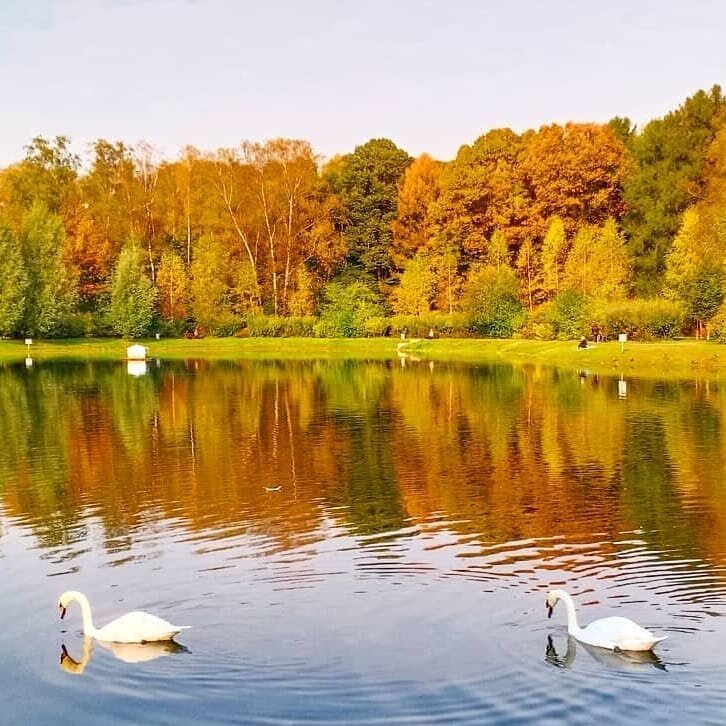 Фото со страницы Парка Сокольники Facebook (https://www.facebook.com/ParkSokolniki)