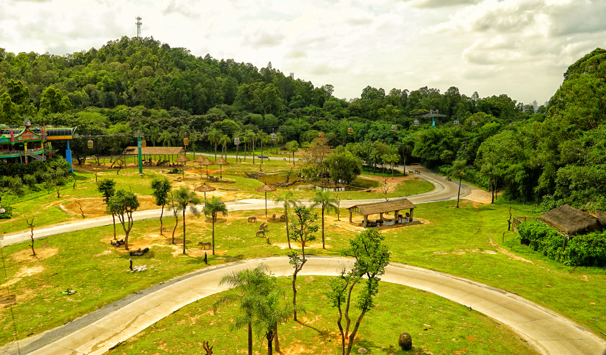 Chimelong Safari park in Guangzhou