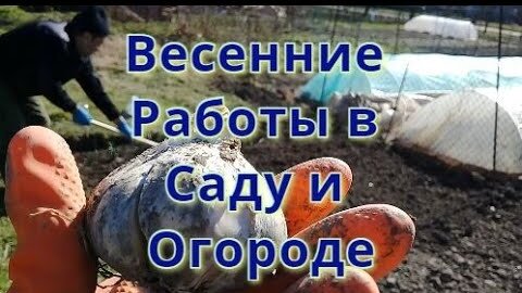 Весь день в Заботах//Весенние работы в саду и огороде Что сегодня Посадили ТОРТ 8 марта Поздравление