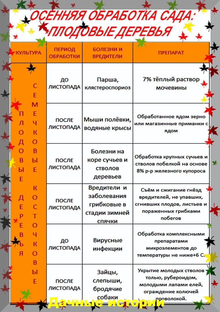 Обработка мочевиной осенью. Обработка деревьев после листопада. Осенняя обработка сада от болезней и вредителей препараты. Таблица основных обработок сада по сезонам. Осенняя искореняющая обработка сада осенью таблица.