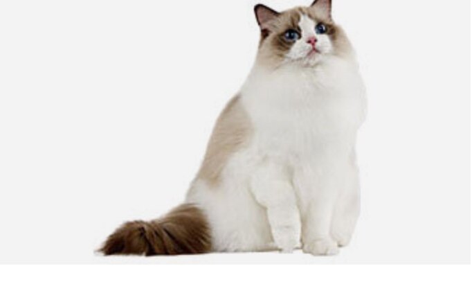 Фото взято с интернета для иллюстрации