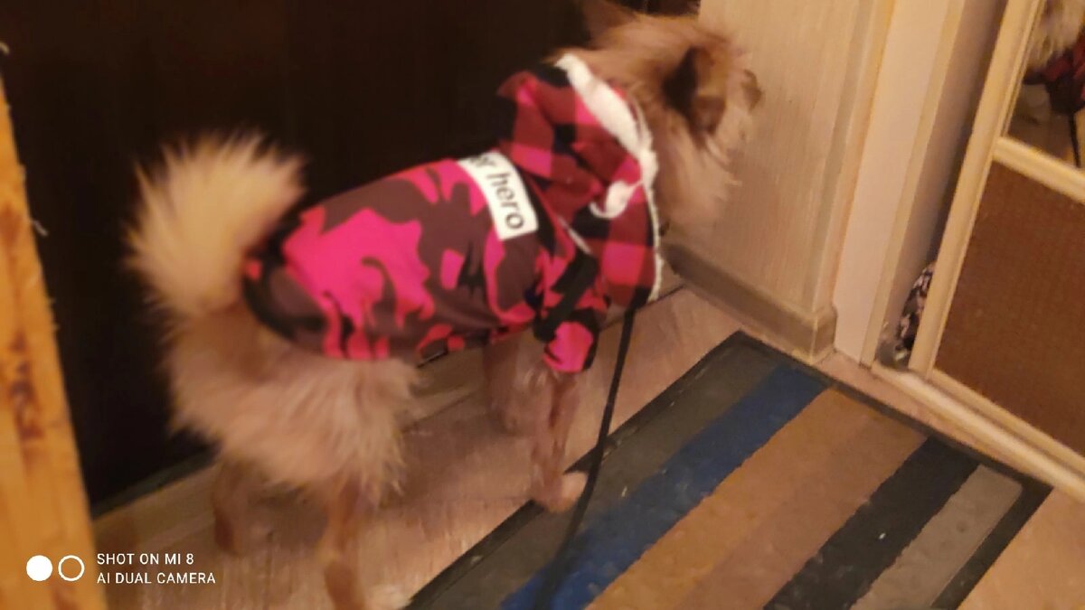 Последний взгляд в  зеркало перед выходом на улицу