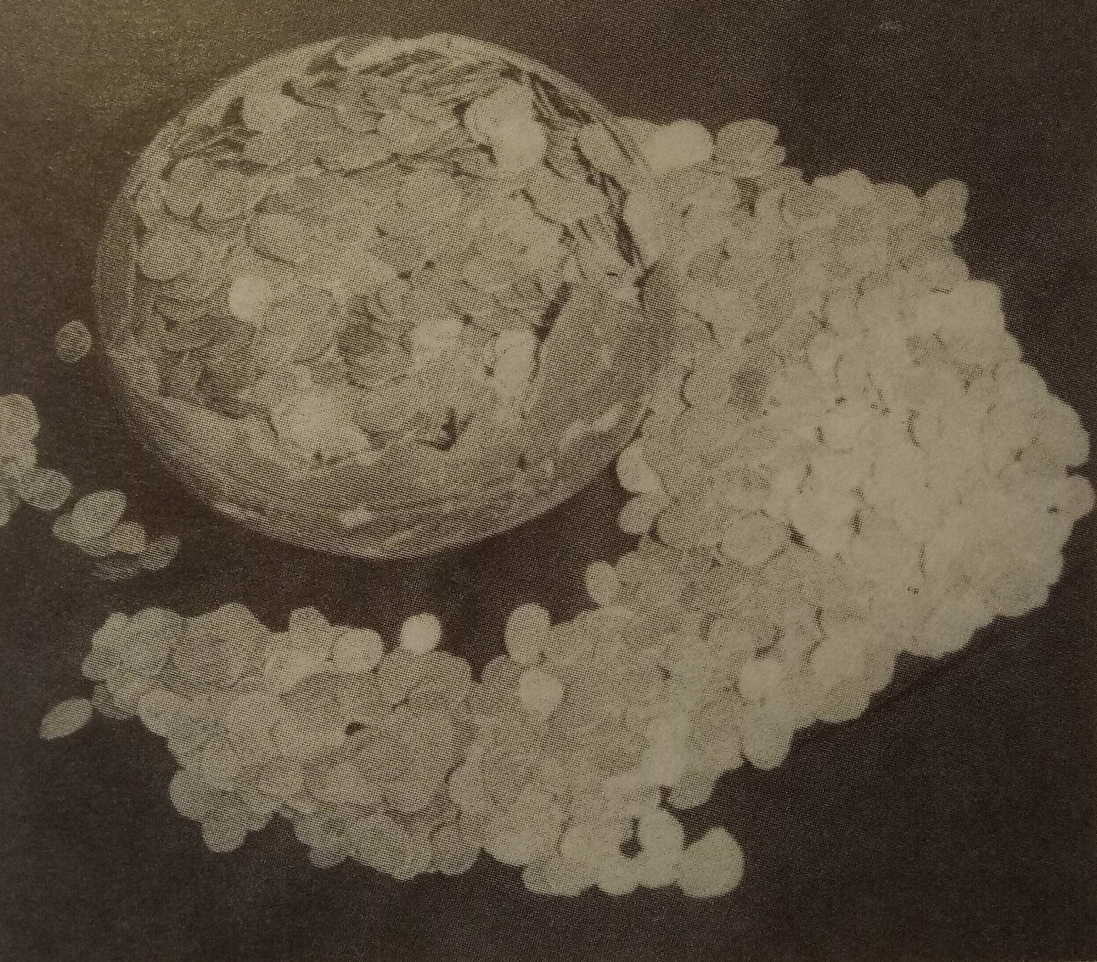 Клад древних монет