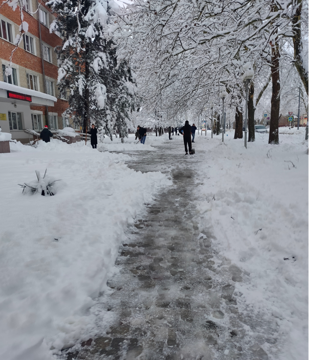 студенты чистят тротуар