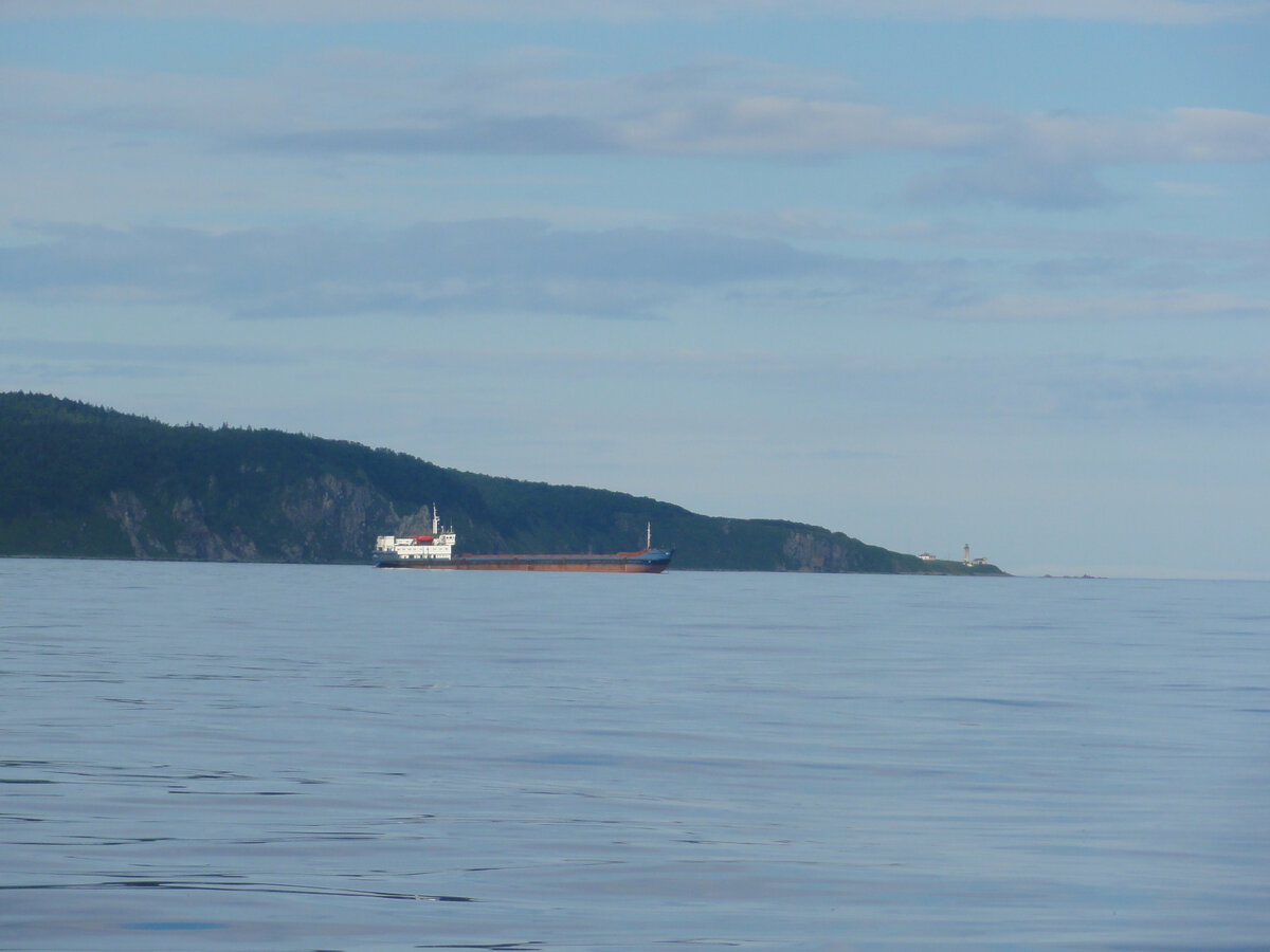 Тернейлесовский теплоход на рейде Адими, у м. Золотого