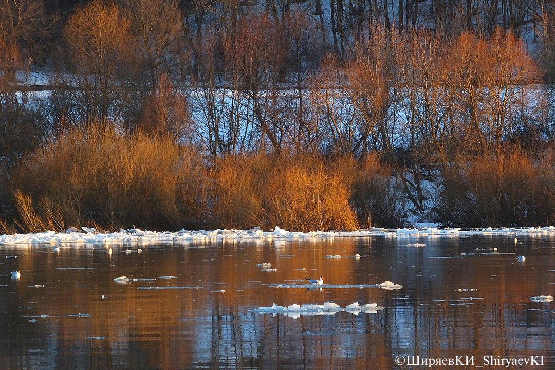На Оке. Телефон выключаю, чтобы не входящий не испортил запись видео.
