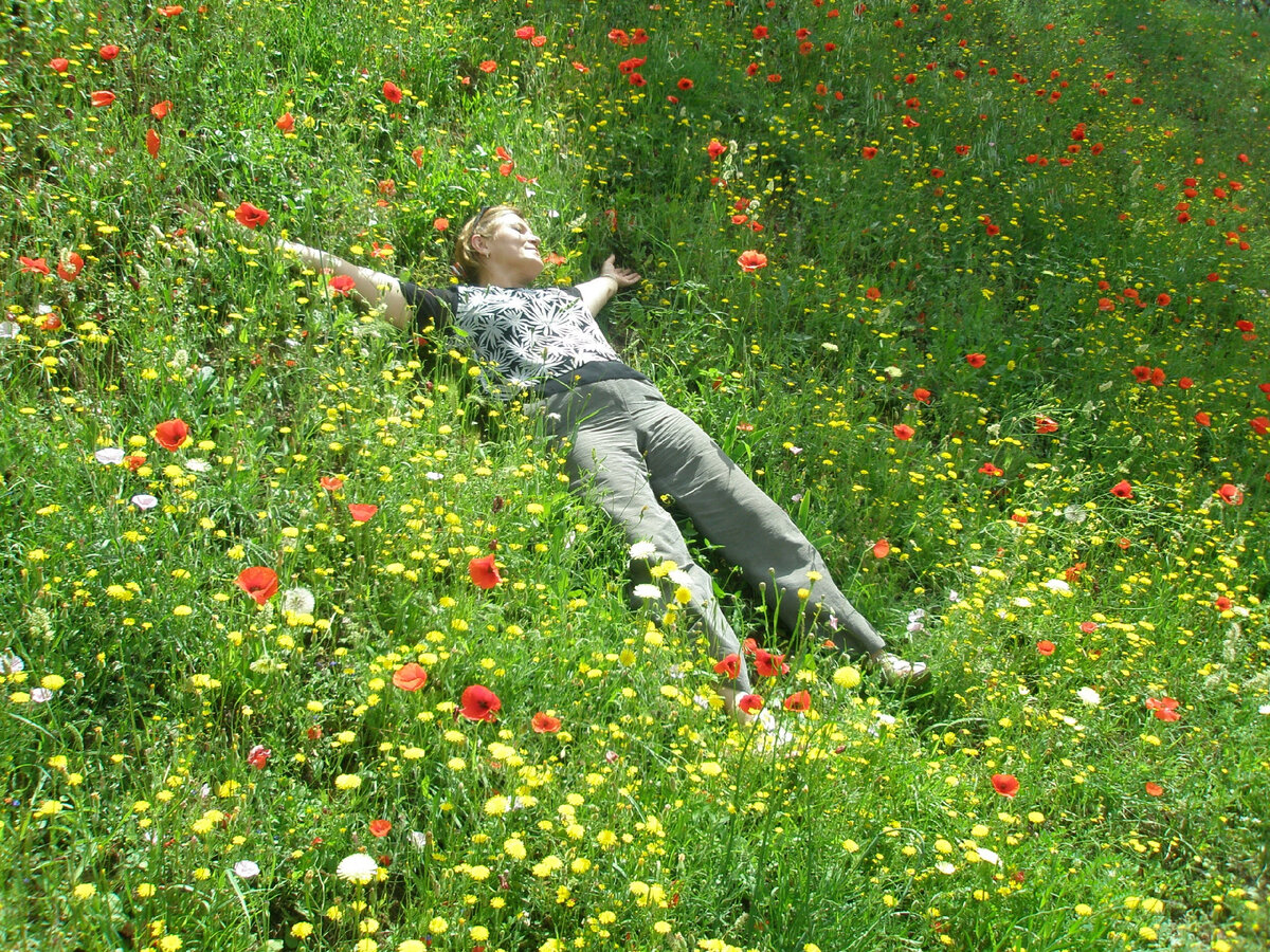 Маки. Вилла Адриана, Тиволи, Италия. Фото из архива автора 26.05.2008. Листайте