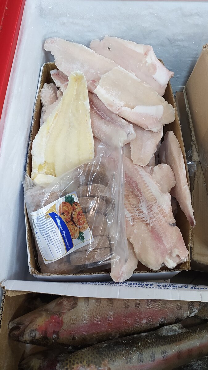 филе пангасиуса в магазине светофор